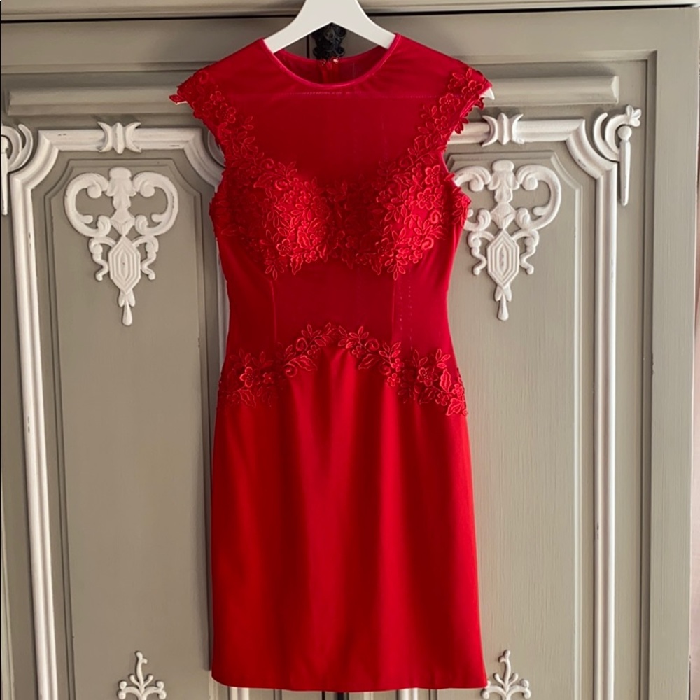 Alberto Makali Stunning Red Dress